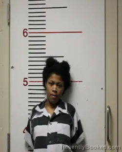 Mugshot of SHAMYA DESHEA TILLEY