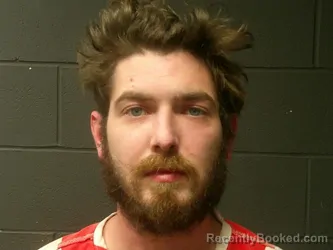 Booking photo from McDonald County, Missouri