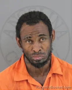 Mugshot of TIMOTHY DENERRIO ROY