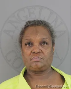 Mugshot of RACHEL ROSCHELLE HENDERSON