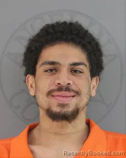 Mugshot of DEVON LLOYD MANNIN