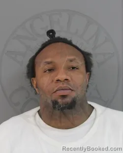 Mugshot of MICHAEL DWAYNE WISE