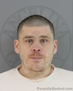 Mugshot of CODY ALAN WALTON