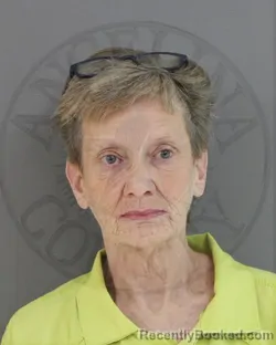 Mugshot of LYNETTE MILES