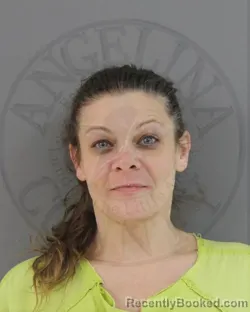 Mugshot of DANA POTTS