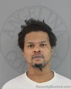 Mugshot of ARTIGUES AUNANIO BROWN