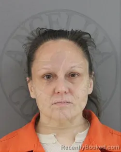 Mugshot of JOANNA LAURA LANG