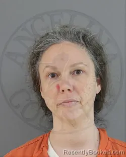 Mugshot of JENNIFER MIZRANY TEMPLE