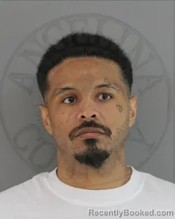 Mugshot of RYAN CHASE MORGAN