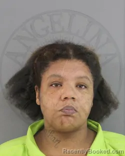 Mugshot of ATHENA RENEE TINSLEY