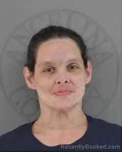 Mugshot of HEATHER RENEE WEBB