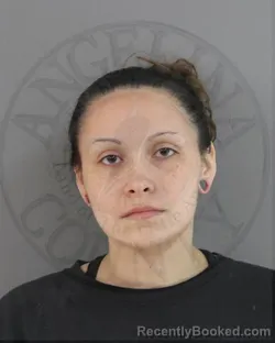 Mugshot of HANNAH MARIE PADILLA