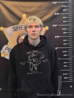 Mugshot of MATHEW HICKS