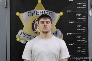 Mugshot of TRENTON WILLIS