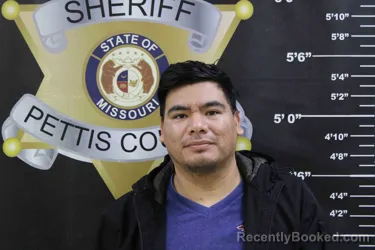 Booking photo from Pettis County, Missouri