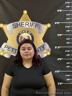 Mugshot of ANA MENJIVAR