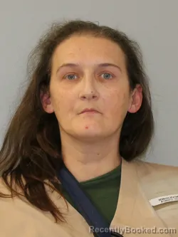 Booking photo from Phelps County, Missouri