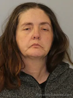 Booking photo from Phelps County, Missouri