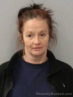 Mugshot of ERICA JOYCE HUDSON