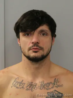 Mugshot of HARLEY RAY HARRIS