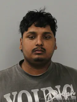 Mugshot of ARMPITAL SINGH
