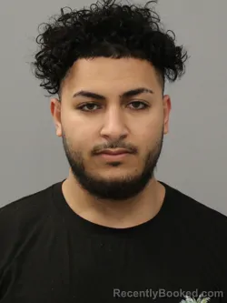 Mugshot of MARIO MAHROS TANYWOS KALINY