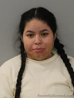 Mugshot of REYNA AZUCENA ICO-CUC