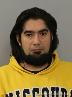 Mugshot of ELIUTH POLANCO