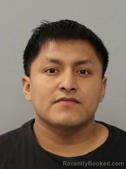 Mugshot of GREDY GALLARDO-FISCAL