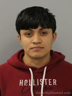 Mugshot of WILMER MENDOZA-RAMIREZ
