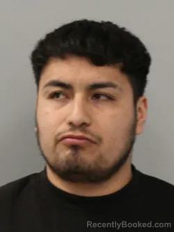 Mugshot of JULIO ROMERO PEREZ