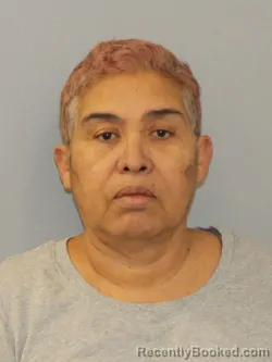 Mugshot of AIME MEYLIN MOTA