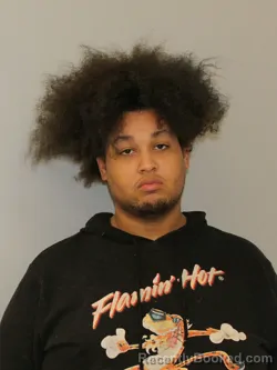Mugshot of XAVIER ADONIS HALL-GONZALEZ