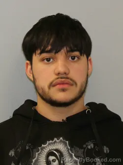 Mugshot of ANTHONY RENATO ALVAREZ