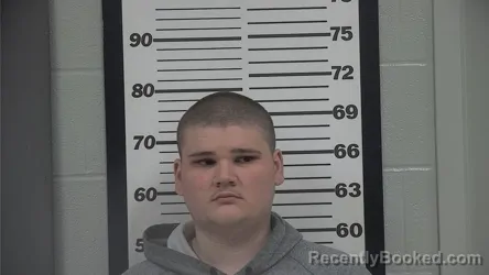 Mugshot of DANIEL HANSEN