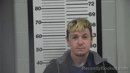 Mugshot of DOMONIK HAM