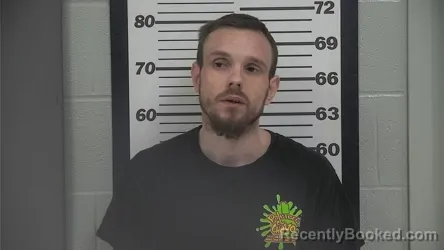 Mugshot of DAVID DILLION SIMS