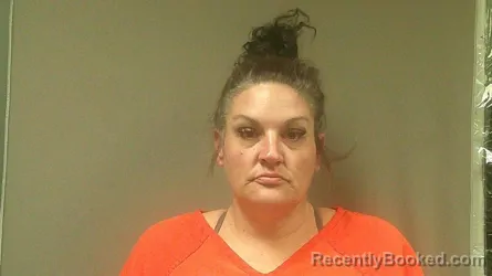 Mugshot of SARA ANN CLARK