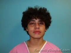 Mugshot of ANGELINA MOLINA