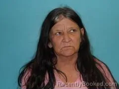 Mugshot of DEBRA LYNN FANCHER-WOOLF