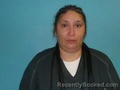 Mugshot of JUDY ANN FERNANDEZ