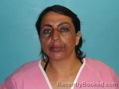 Mugshot of ERIKA ANNE ZAMUDIO