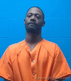 Booking photo from Saline County, Missouri