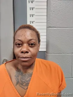 Mugshot of BRIANNA D CONLEY