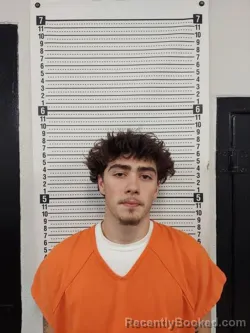 Mugshot of DYLAN MICHAEL LOCKE