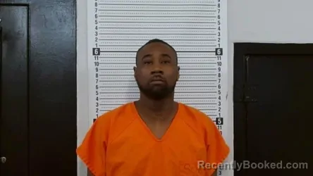 Mugshot of JOHNNY RAY BLAND