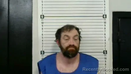 Mugshot of JAMES MICHAEL WELLS