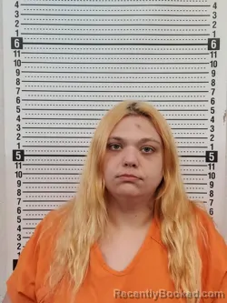 Booking photo from Scott County, Missouri