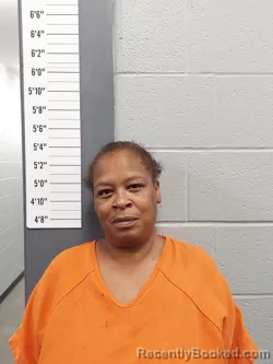 Booking photo from Scott County, Missouri