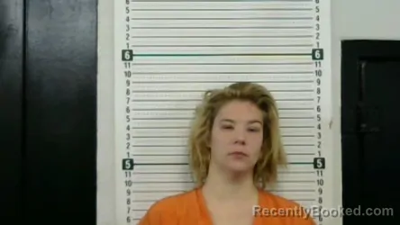 Mugshot of NATALIE MICHELLE LONG